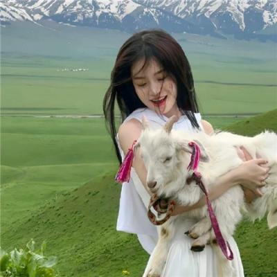 陆昭昭的刺客笔记
